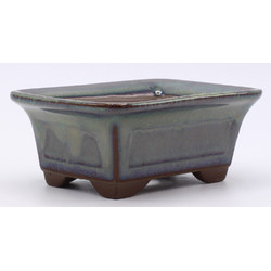 bonsai pot green rectangular lateral view