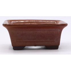 bonsai pot red rectangular front view