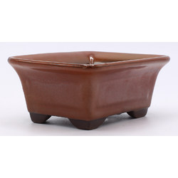 bonsai pot red rectangular lateral view