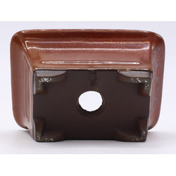 bonsai pot red rectangular back view