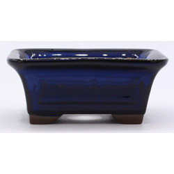 bonsai pot blue rectangular front view