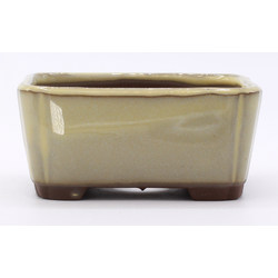 bonsai pot yokn048b rectangular white frontal view