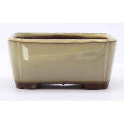 bonsai pot yokn048b rectangular white frontal view