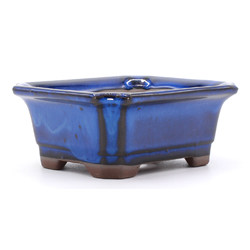 bonsai pot yokn049a blue rectangular lateral view