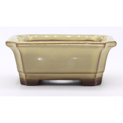 bonsai pot yokn049b rectangular white frontal view