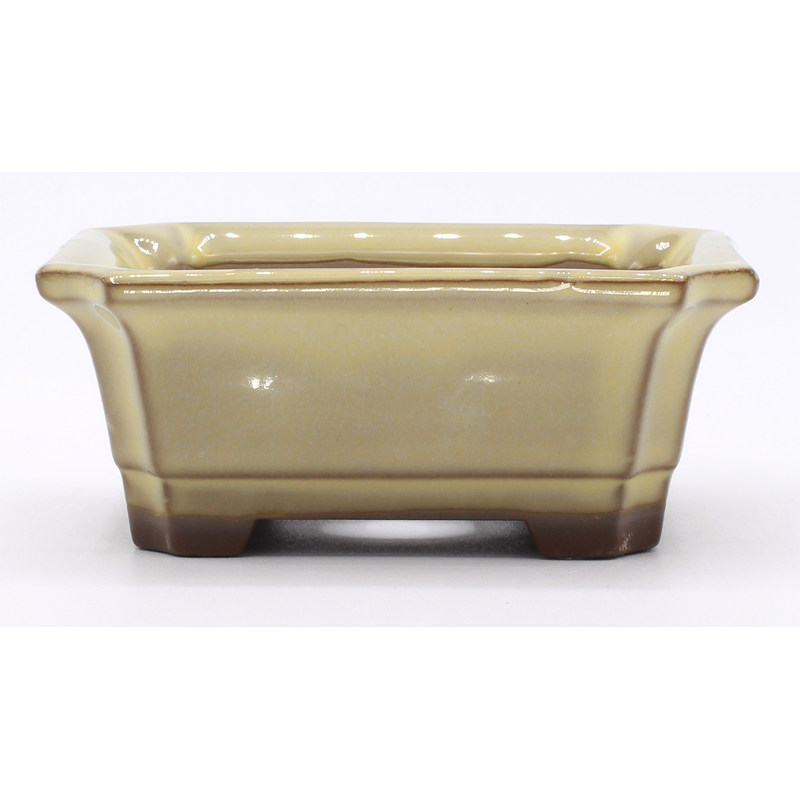 bonsai pot yokn049b rectangular white frontal view