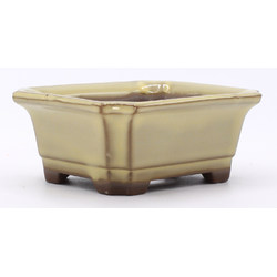 bonsai pot yokn049b rectangular white lateral view