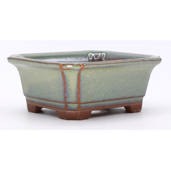 bonsai pot yokn049v green rectangular lateral view