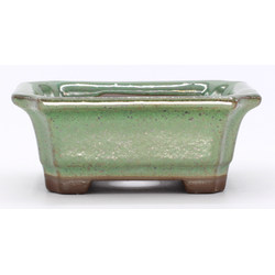 bonsai pot yokn049v2 green rectangular front view