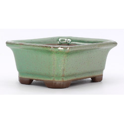 bonsai pot yokn049v2 green rectangular lateral view