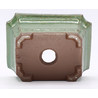 maceta bonsái yokn049v2 rectangular verde vista trasera