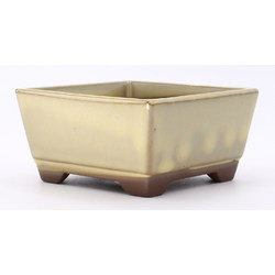 bonsai pot yokn059b square white lateral view