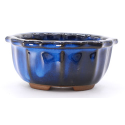 bonsai pot yokn061a oval blue frontal view