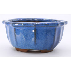 bonsai pot yokn061a oval blue frontal view 2