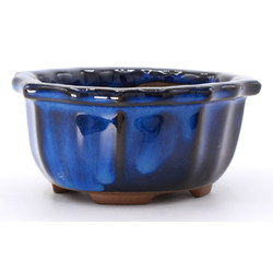 bonsai pot yokn061a oval blue lateral view