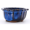 maceta bonsái yokn061a ovalada azul vista lateral