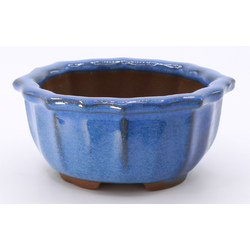 bonsai pot yokn061a oval blue aereal view