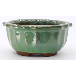 bonsai pot yokn061v oval green frontal view