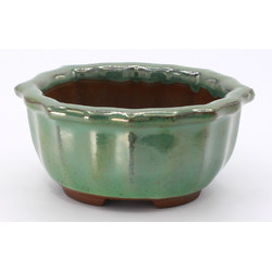 bonsai pot yokn061v oval green aereal view