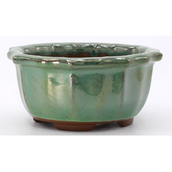 bonsai pot yokn061v oval green lateral view