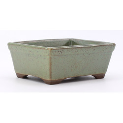 bonsai pot yokn060v rectangular green lateral view