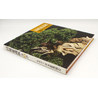 Kokufu 85 exhibition book -2011- view 2