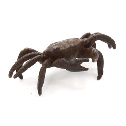 Japanese bronze tenpai 82 crab