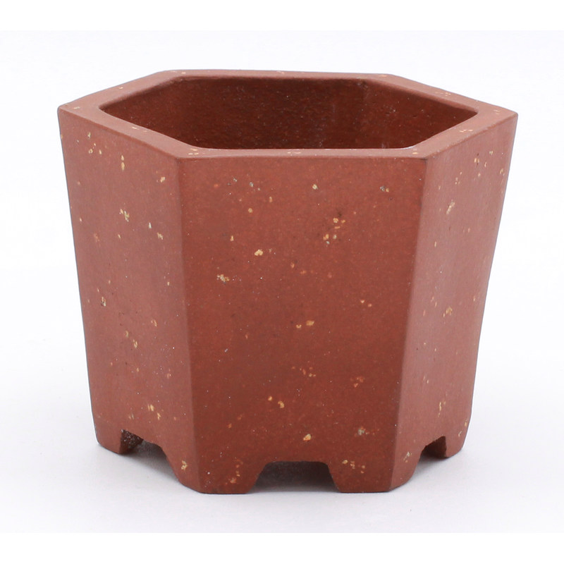 bonsai pot MN187 hexagonal frontal view