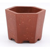 bonsai pot MN187 hexagonal frontal view