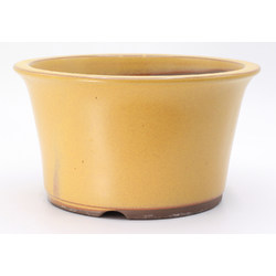 maceta bonsái yokn015ao yokkaichi circular ocre vista frontal
