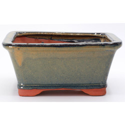 bonsai pot HGAS071-3V rectangular green frontal view