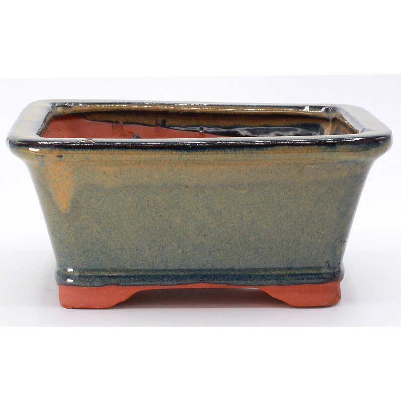 bonsai pot HGAS071-3V rectangular green frontal view