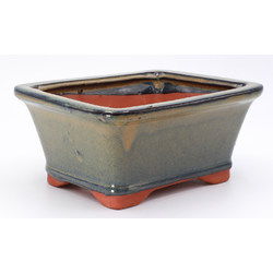 bonsai pot HGAS071-3V rectangular green lateral view