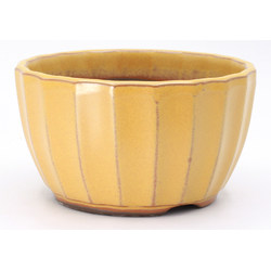 bonsai pot yokn026a round yellow yokkaichi frontal view