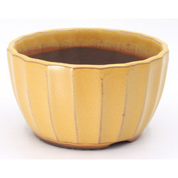 Bonsai pot YOKN024A view 2