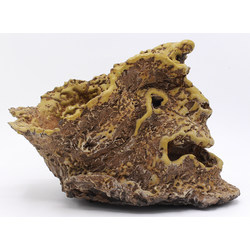 Bonsai pot NAU366 WAKAMICHI "QUASIMODO"