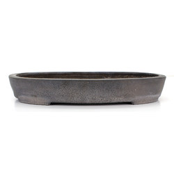 Bonsai pot JTA7921 KOYO KOUICHIROU