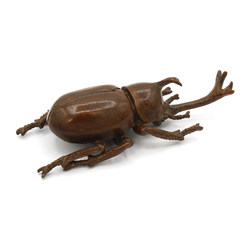 Japanese copper-bronze tenpai 89 beetle