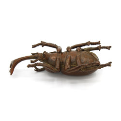 Japanese copper-bronze tenpai 89 beetle view 3