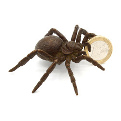 Tenpai japonés cobre-bronce 90 araña vista 2