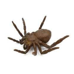 Tenpai japonés cobre-bronce 90 araña vista 3