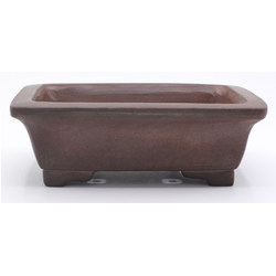 Bonsai pot JTA7923 GYOZAN YUKIZOU view 1