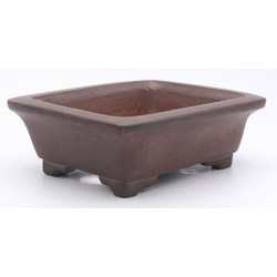 Bonsai pot JTA7923 GYOZAN YUKIZOU view 2