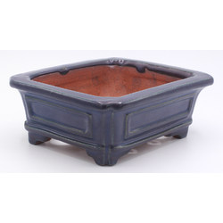 Bonsai pot JTA7923 GYOZAN YUKIZOU view 22