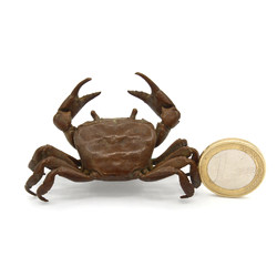 Japanese copper-bronze tenpai 96 crab view 2