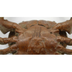 Japanese copper-bronze tenpai 96 crab view 5