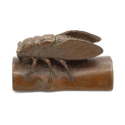 Japanese copper-bronze tenpai 97 cicada
