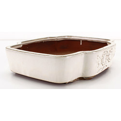 Bonsai pot CCH370 QUING HE TANG view 3