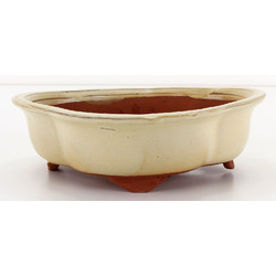 Bonsai pot GAS101-27