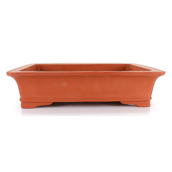 Bonsai pot CCH368 LIANG XUAN